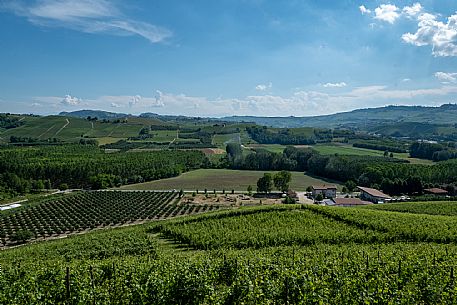 Langa of Barolo Landscape